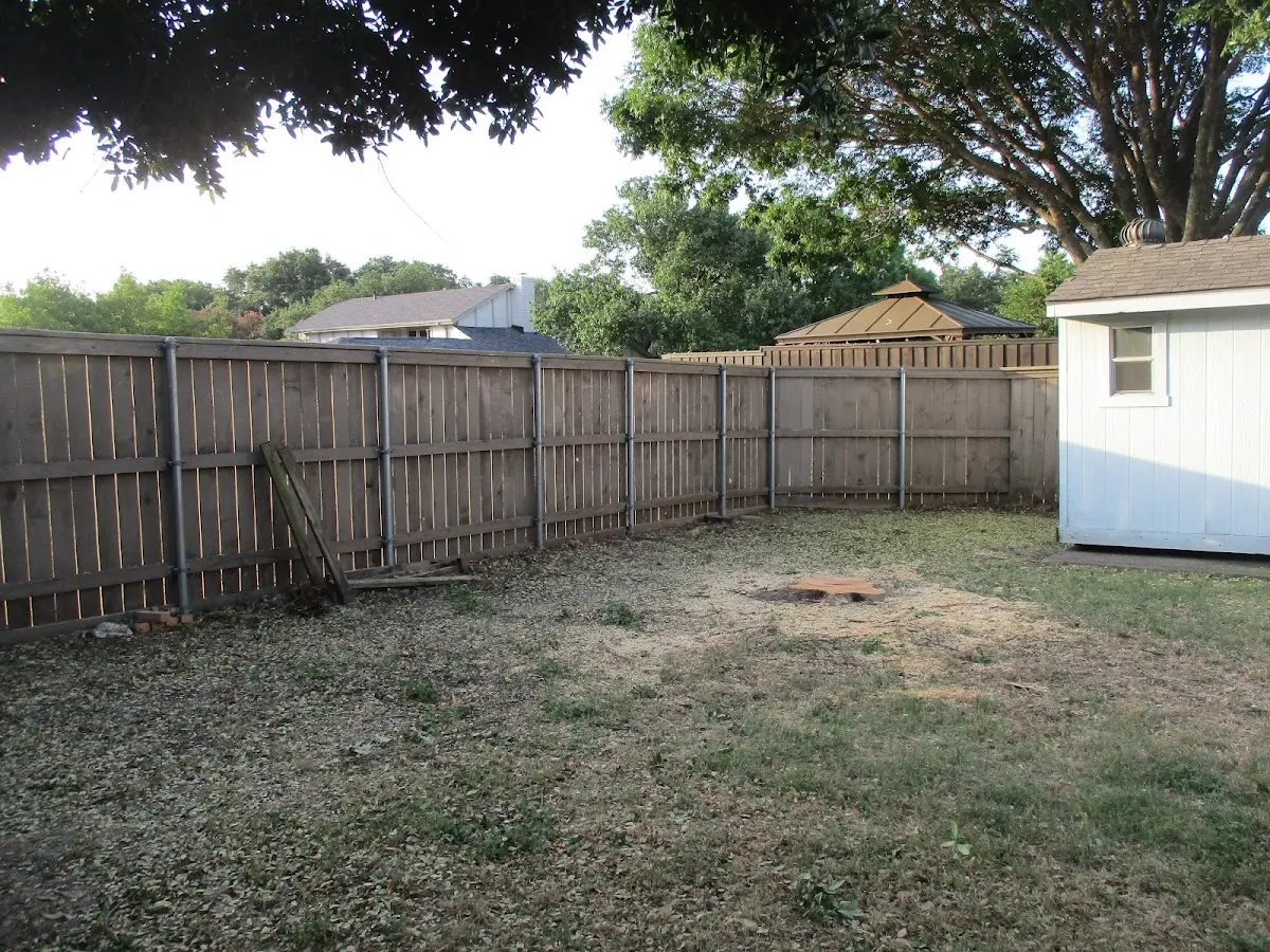 Cleared yard after professional tree removal in Woodridge